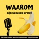 Waarom zijn bananen krom?