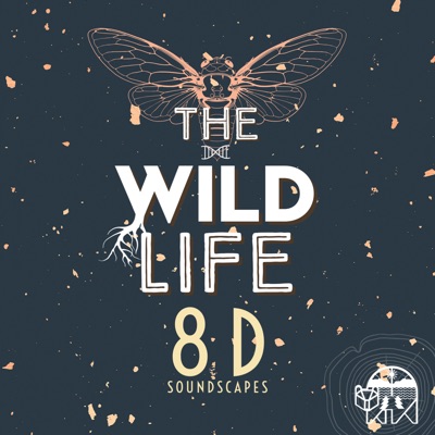 The Wild Life: 8D Soundscapes:The Wild Life