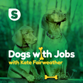 Dogs with Jobs - Petersfield's Shine Radio