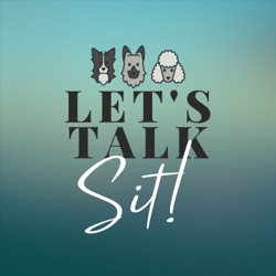 Let's Talk Sit!