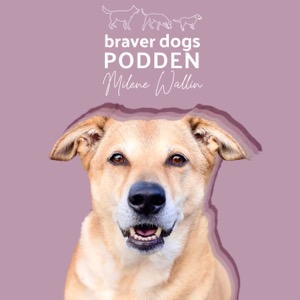 Braver Dogs Podden