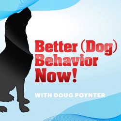 Better (Dog) Behavior Now!