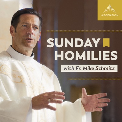 Sunday Homilies with Fr. Mike Schmitz:Ascension