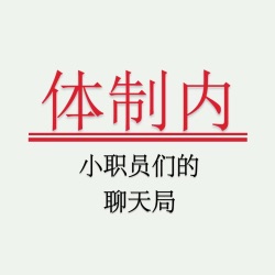 Vol.75 体制内工资条（二）：考上公务员，月薪3300？