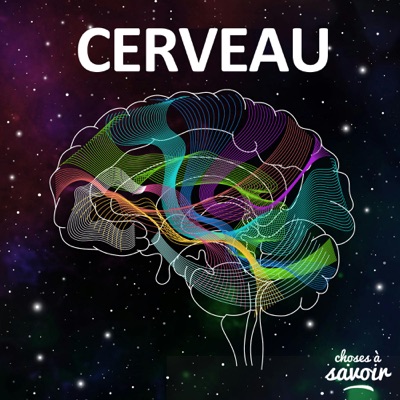 Choses à Savoir CERVEAU:Choses à Savoir