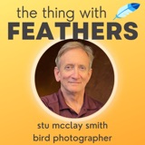 56: Photography, Cardinals, and Cats (Stu McClay Smith)