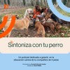Sintoniza con tu perro - Sonia Villalba - Kanstak Educación Canina