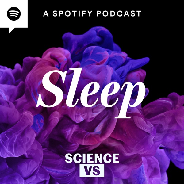 Sleep: How Do We Get More? photo