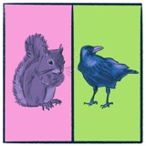 Squirrels vs. Crows: a brilliant debate