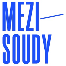 Mezisoudy #10: Česko před štrasburským soudem v roce 2022