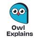 Owl Explains Hootenanny