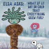 Elsa asks: What if it got so cold that everything grew fur?