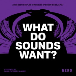 WHAT DO SOUNDS WANT?