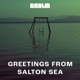 Greetings from Salton Sea