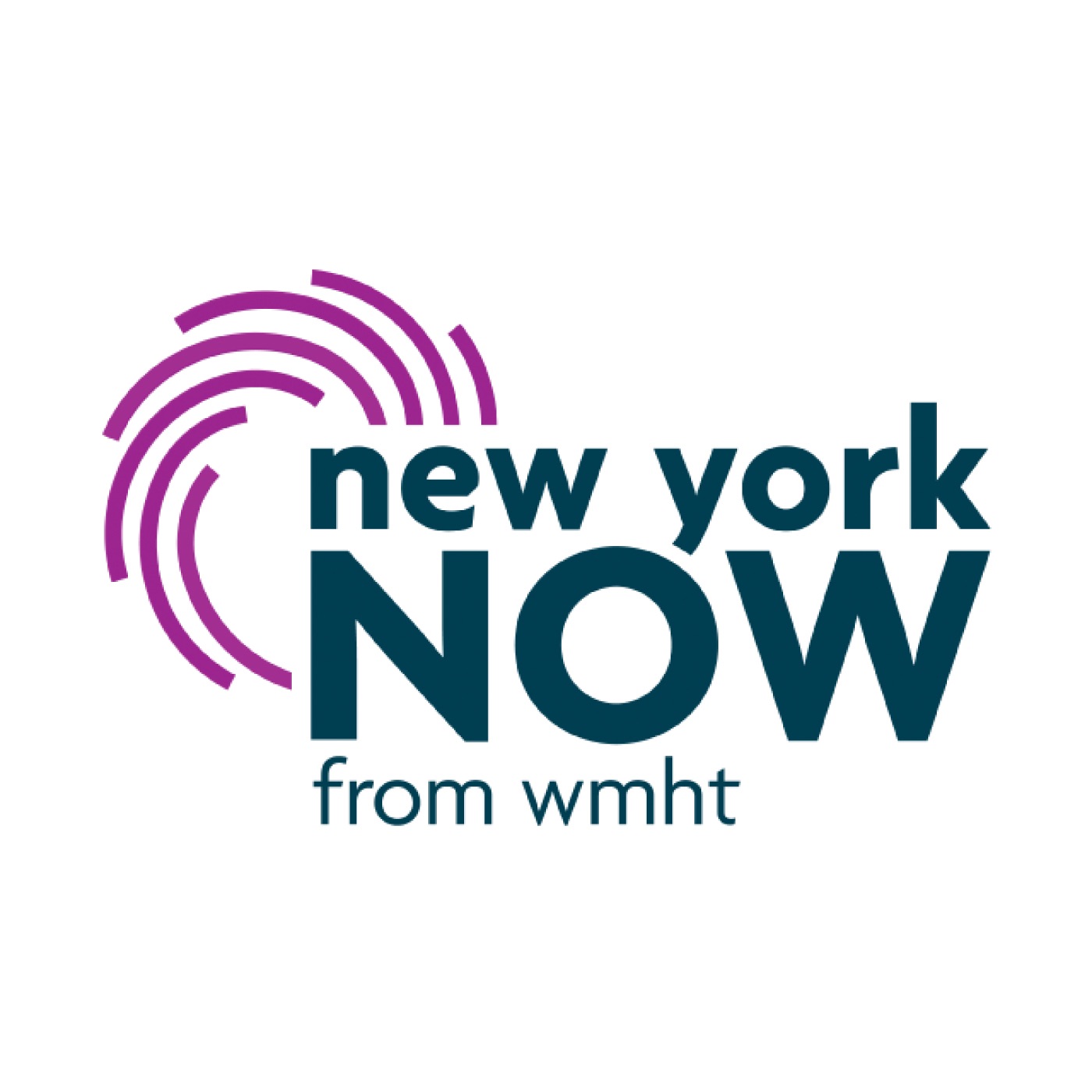 2024 State of the State, NY& Organizing, Opioids in NY New York NOW