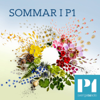 Sommar & Vinter i P1 - Sveriges Radio