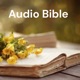 Audio Bible １章５分（口語訳聖書）