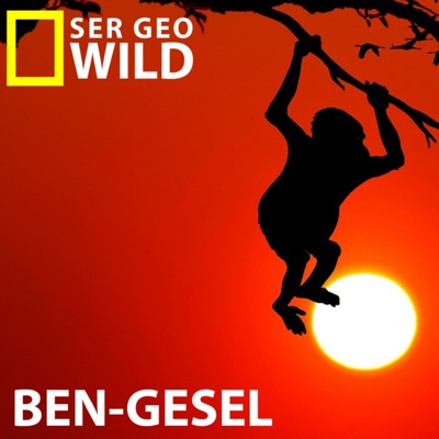 Ben-gesel