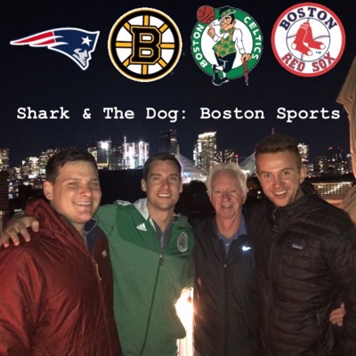 Shark and the Dog: Boston Sports Shark and the Dog: Boston Sports