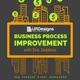 Business Process Improvement