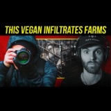 What Are They Hiding? Vegan Goes Undercover In Animal Farms | Human Cruelties