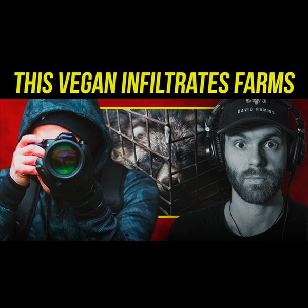 What Are They Hiding? Vegan Goes Undercover In Animal Farms | Human Cruelties photo