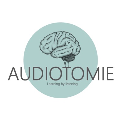 Audiotomie - dein Anatomie Lernpodcast