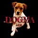 DOGMA 2.0