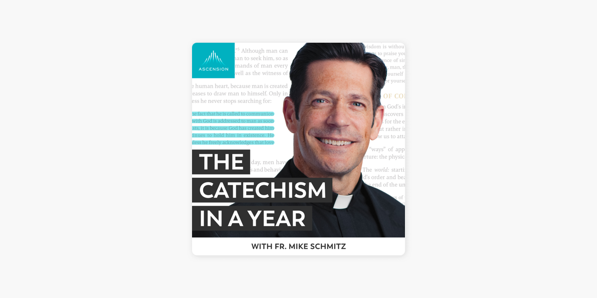  the catechism in a year with fr mike schmitz on apple podcasts