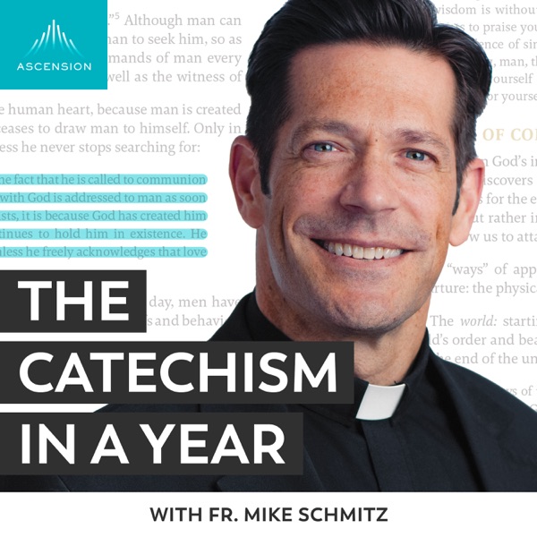 The Catechism in a Year (with Fr. Mike Schmitz) banner image