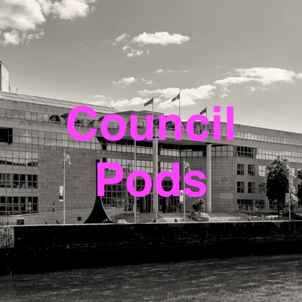 Dublin City Council Meetings