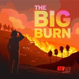 The Big Burn: Setting A Forest On Fire