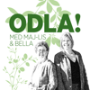 ODLA! - med Maj-Lis Pettersson & Bella Linde