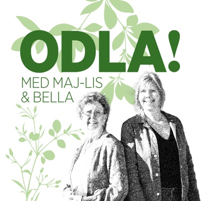 ODLA!:Belladante AB