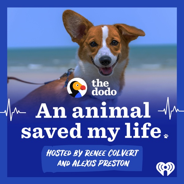 An Animal Saved My Life