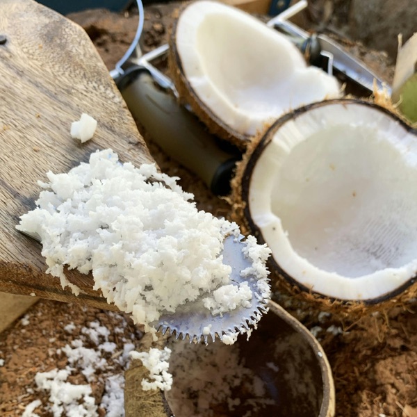 Trouble in Paradise: Coconut War Waters and Coconut Oil Controversies photo