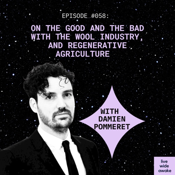 #058 Damien Pommeret: on the good and the bad with the wool industry, and regenerative agriculture photo