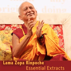 Motivate with Bodhicitta and Dedicate with Emptiness so Your Life Is Not Wasted