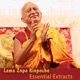 Lama Zopa Rinpoche Essential Extracts