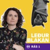 Leðurblakan