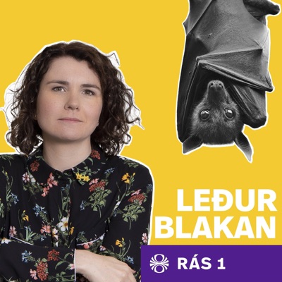 Leðurblakan Leðurblakan