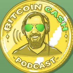 #113: Global Government & BCH Resistance feat. Aaron Day