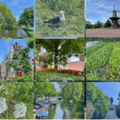 NATUUR💚LEIDEN - Nancy Glazer, Laura Lancée, Hugo Zwarts