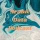 Arabic Data Podcast Episode 18 - Working in Product Analytics - with Mohamed Medhat