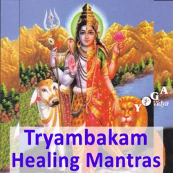 tryambaka-mantra-mp3 Archive - Yoga Vidya Blog - Yoga, Meditation und Ayurveda