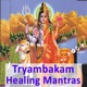 tryambaka-mantra-mp3 Archive - Yoga Vidya Blog - Yoga, Meditation und Ayurveda