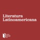 Anxieties of Experience: The Literatures of the Americas from Whitman to Bolaño