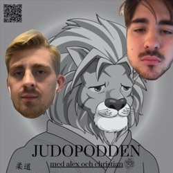 Judopodden