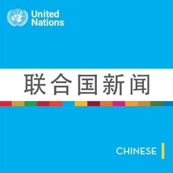 “青年不再是气候谈判的背景板，而是行动落地的生力军”——对话中国青年气候倡导者许望