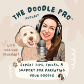 The Doodle Pro: Expert Doodle Dog & Puppy Training, Grooming, Health, & Behavior Tips & Tricks - The Doodle Pro™, Corinne Gearhart
